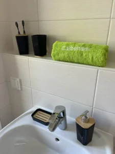 Calbenser Wohnungsbaugesellschaft mbH - 8-Bad (2)